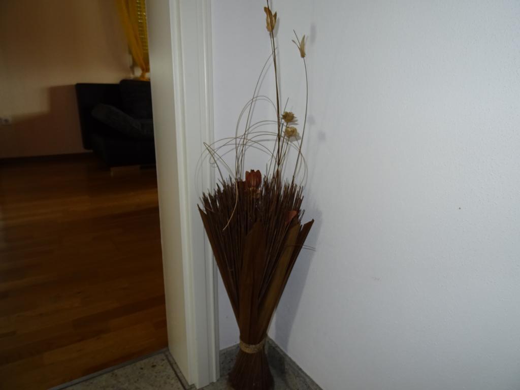 Apartment Euro As Kappel-Grafenhausen Εξωτερικό φωτογραφία